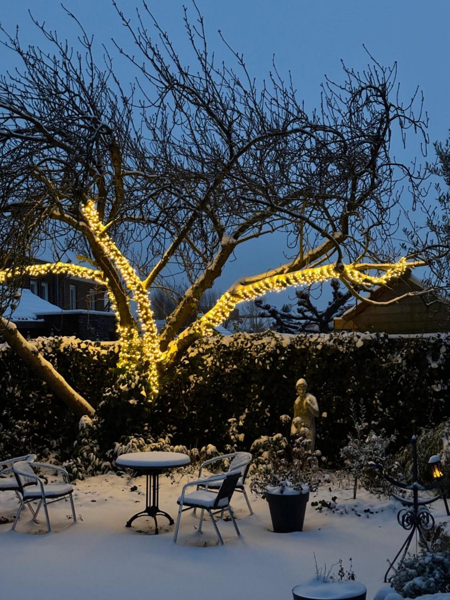 Bed and Breakfast Atalanta-Wellness Roermond 'De Wethouder' Herten Екстер'єр фото